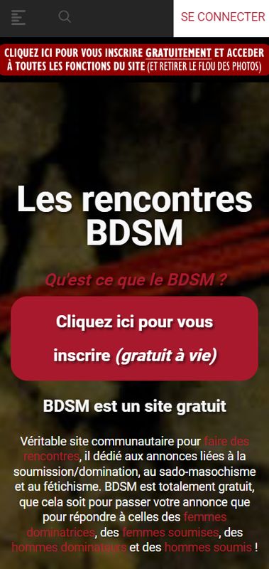 bdsm.fr site