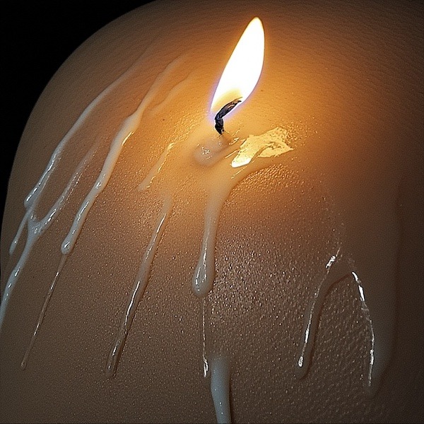 Le guide complet du Wax Play